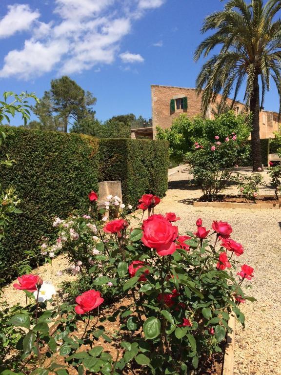 كامبوس Casa Rural Son Bernadinet المظهر الخارجي الصورة